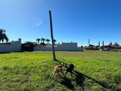 Terreno em Cruz Alta no bairro Conceição